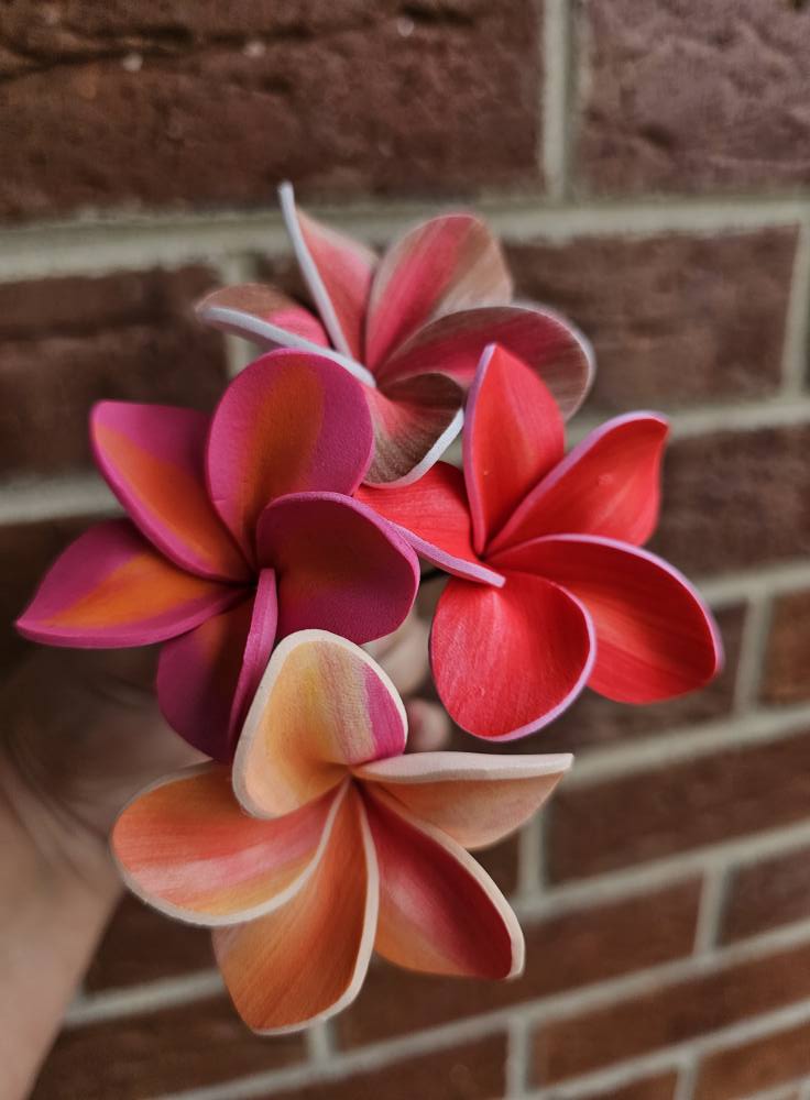 SEI FRANGIPANI
