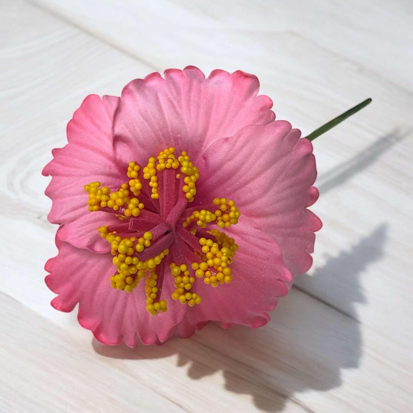 Hibiscus - SMALL Size - FHF201-1
