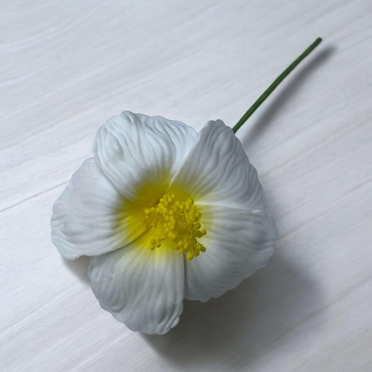 Hibiscus - SMALL Size - FHF201-1