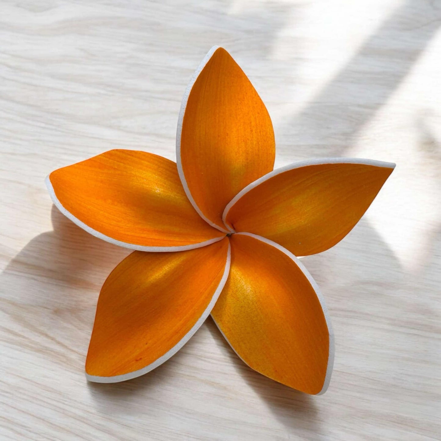 Frangipani - MEDIUM Size FF401-1