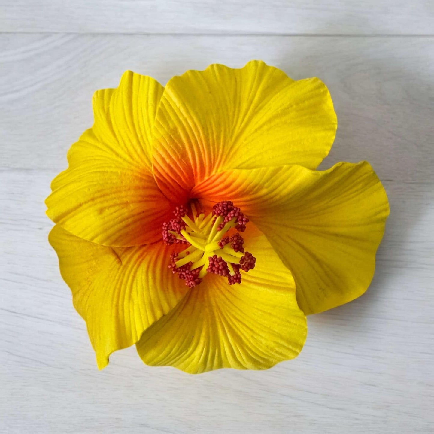 Hibiscus - LARGE Size FH103-3