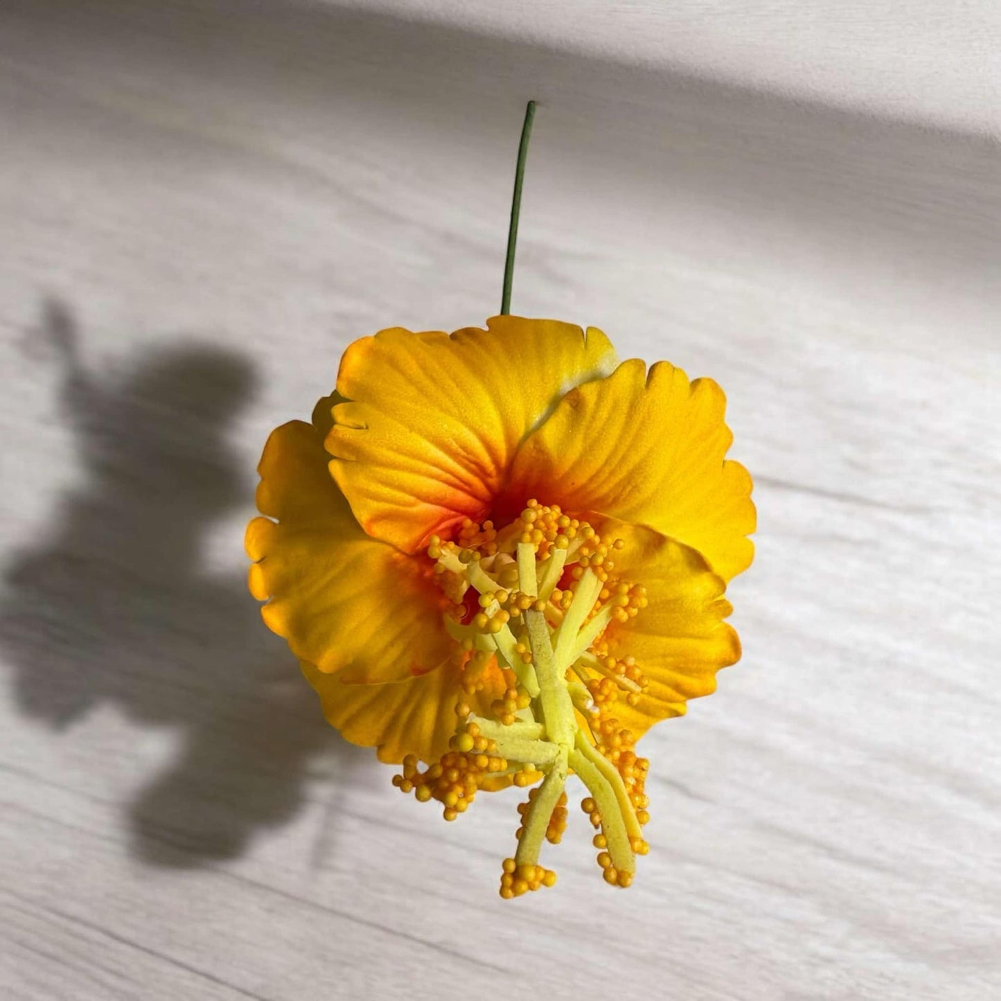 Hibiscus - SMALL Size - FHF201-1