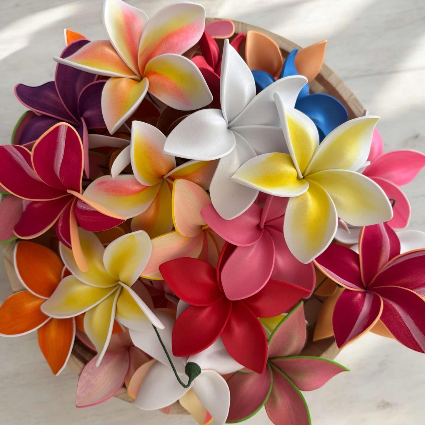 Frangipani - MEDIUM Size FF401-1