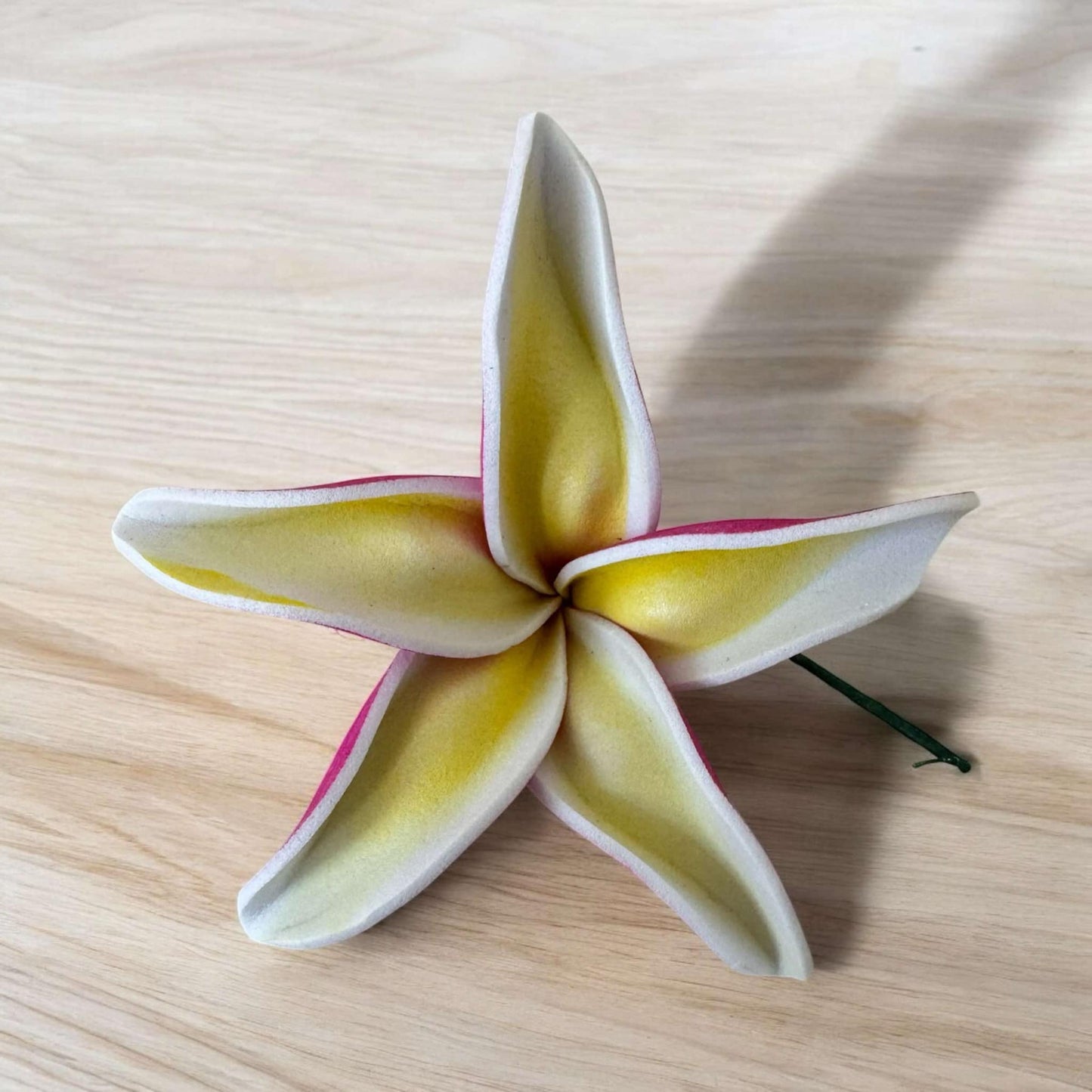 Frangipani - MEDIUM Size FF401-1