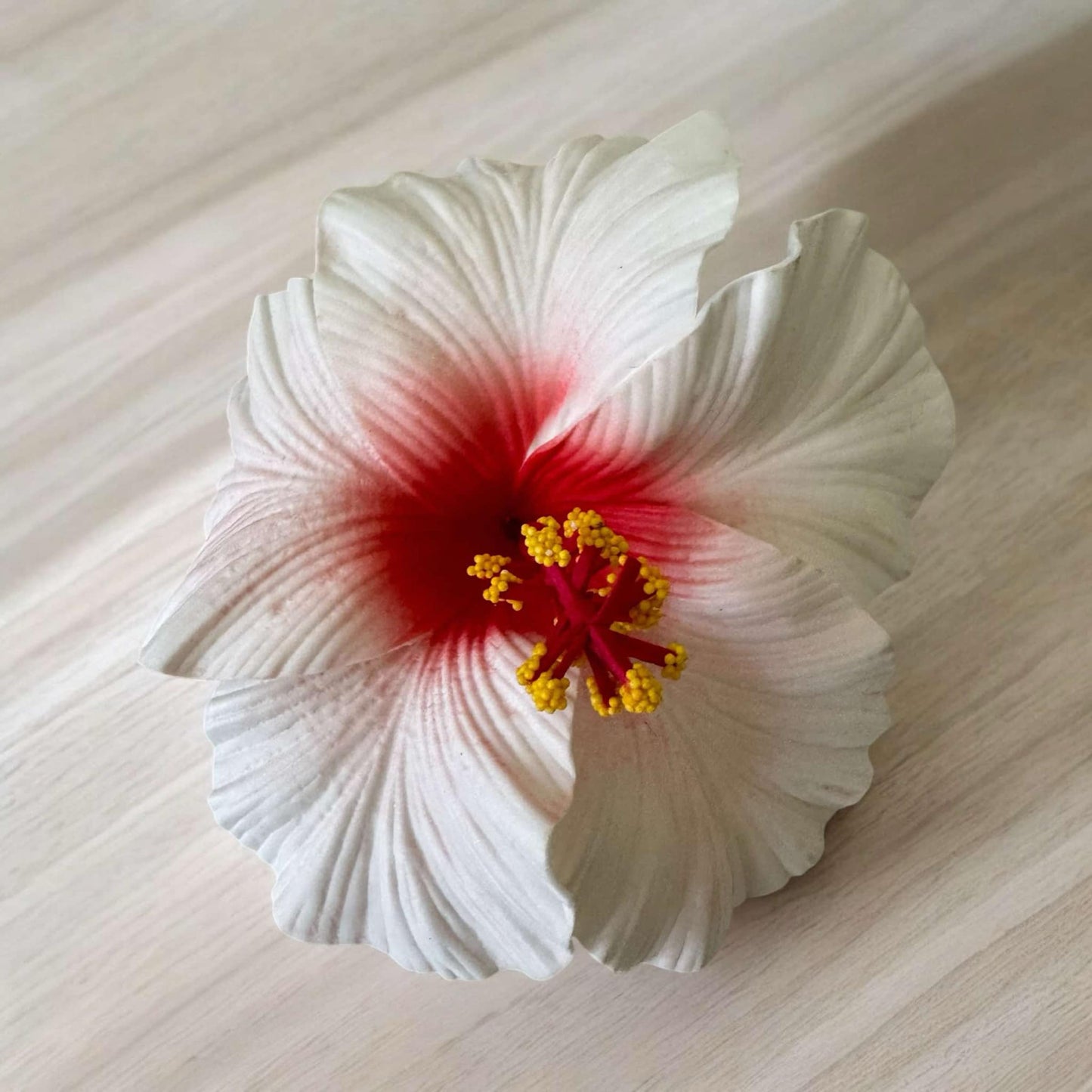 Hibiscus - LARGE Size FH103-3