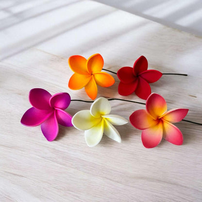 Frangipani - SMALL Size FF301-1