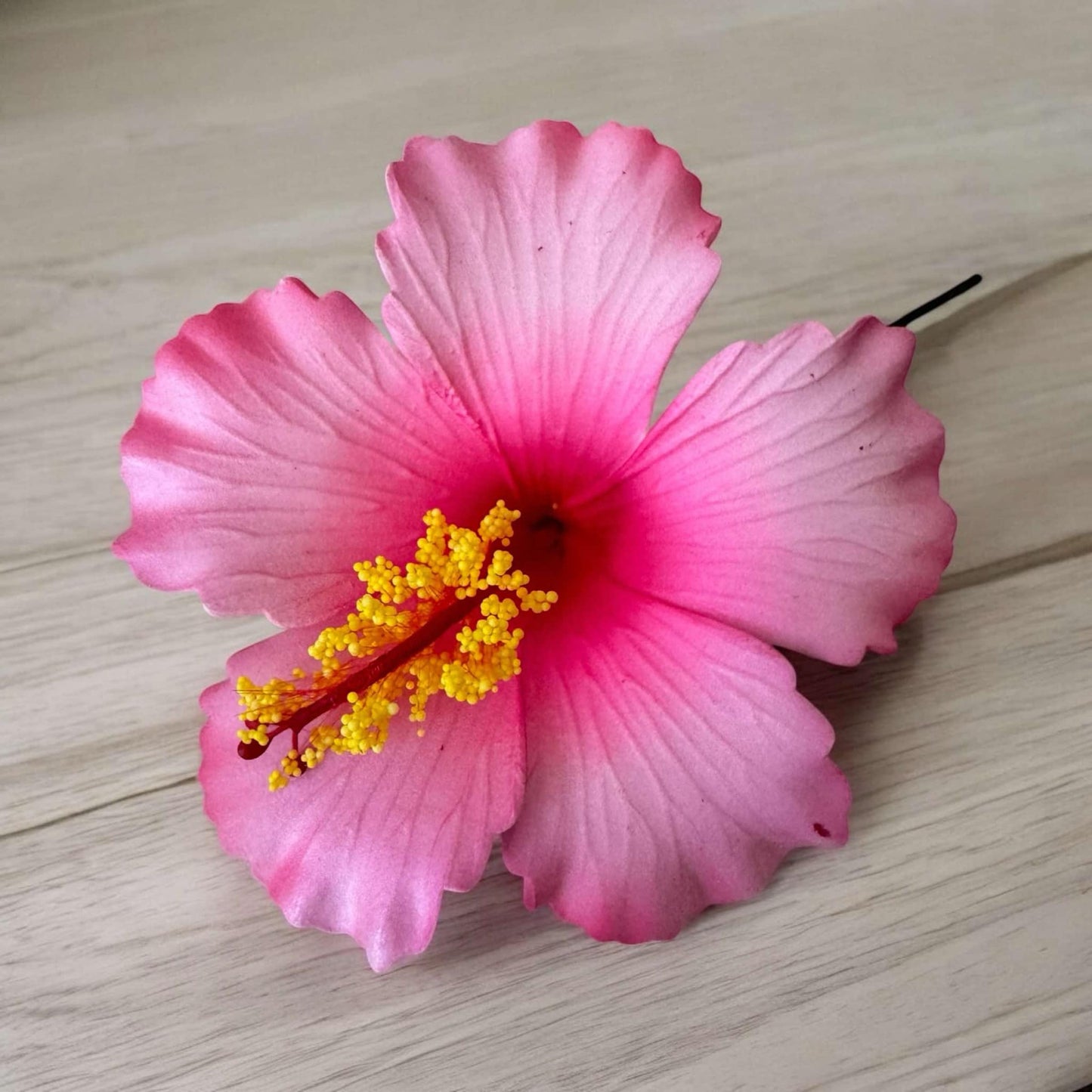Hibiscus - MEDIUM Size FH302-2