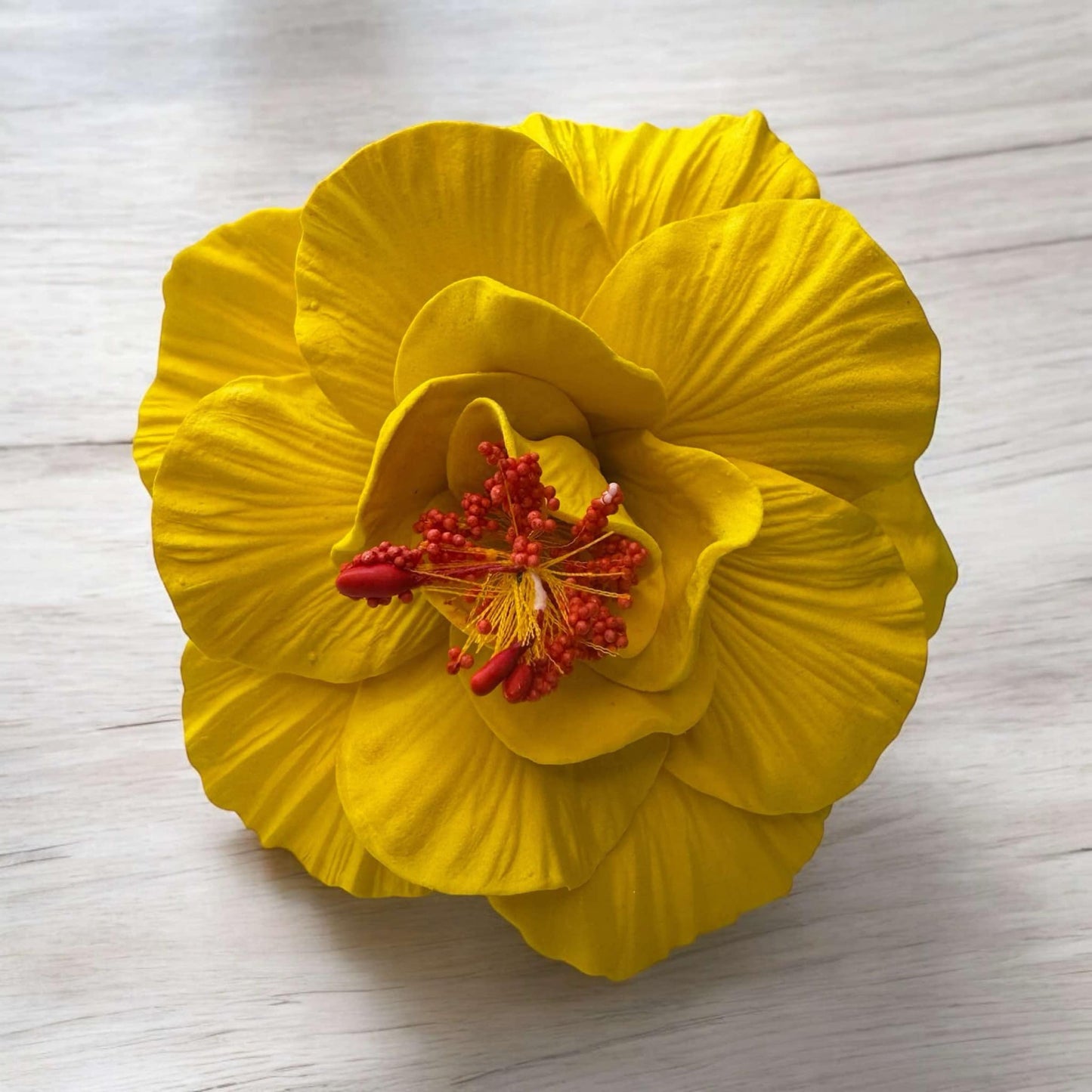 Hibiscus - LARGE Size FH103-1