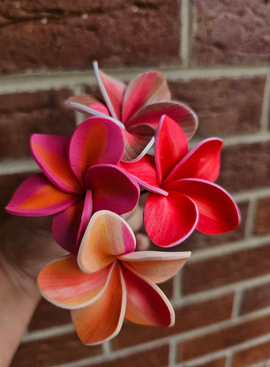 SEI FRANGIPANI
