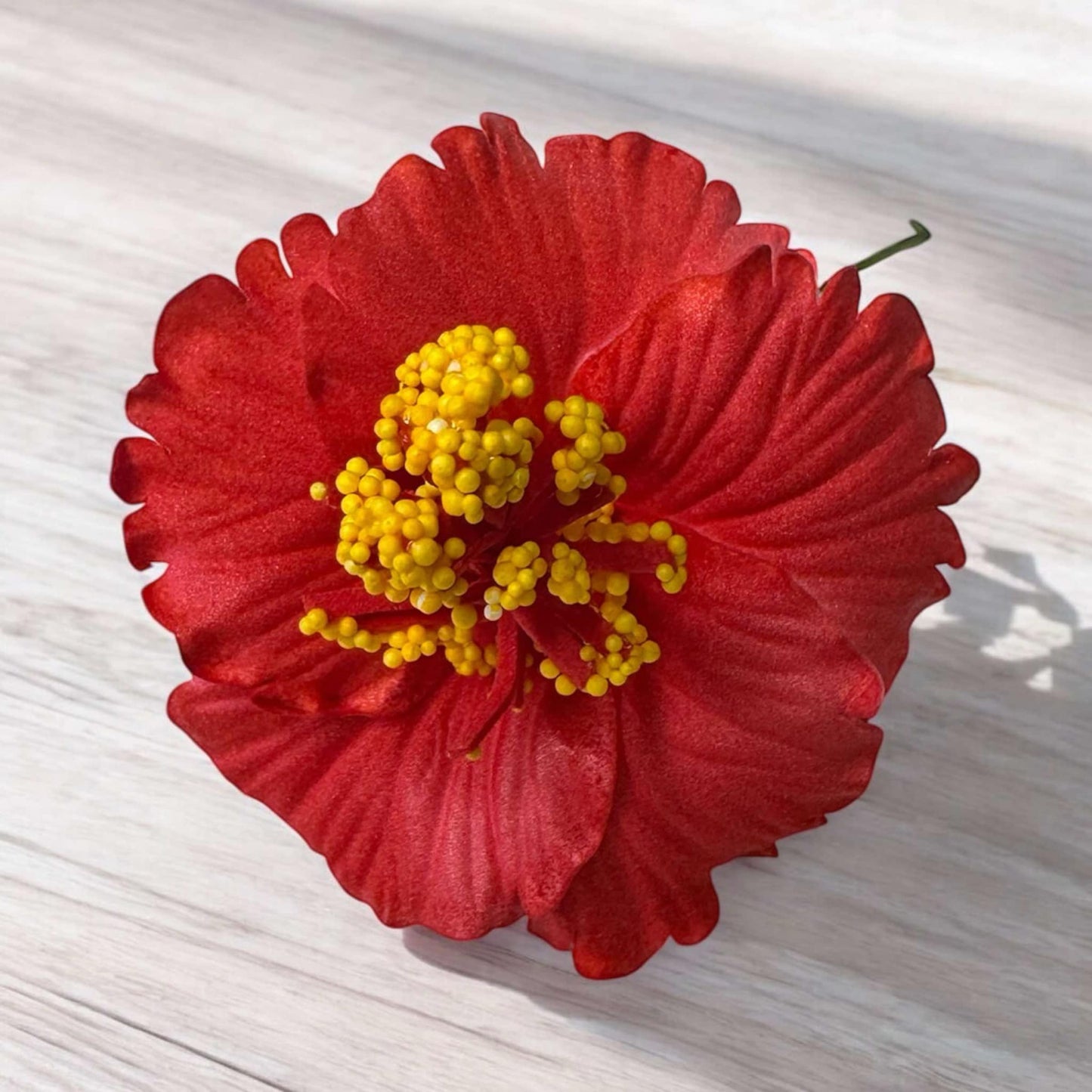 Hibiscus - SMALL Size - FHF201-1