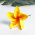 SEIANI PLUMERIA
