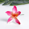 SEIANI PLUMERIA
