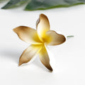 SEIANI PLUMERIA