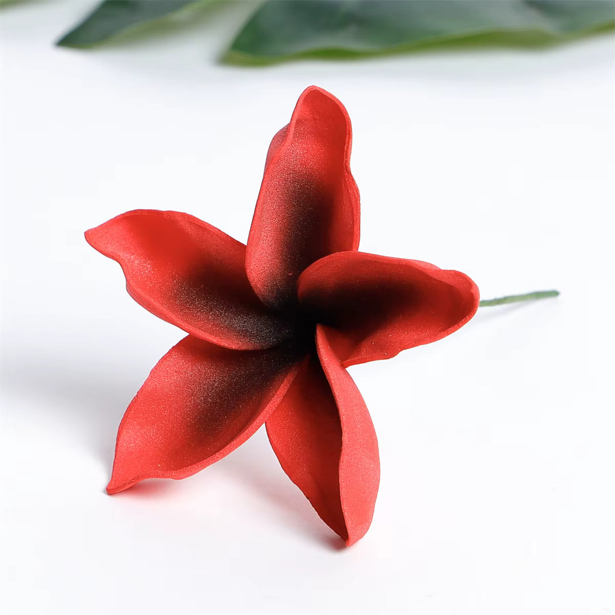 SEIANI PLUMERIA