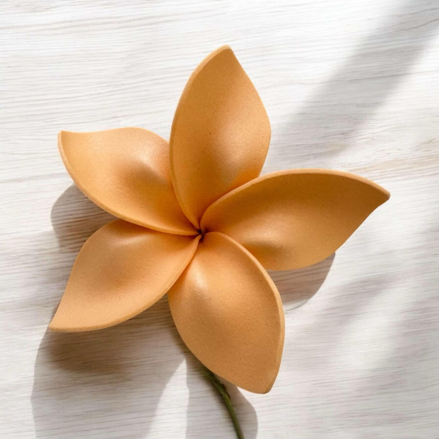 Frangipani - LARGE Size FF501-1