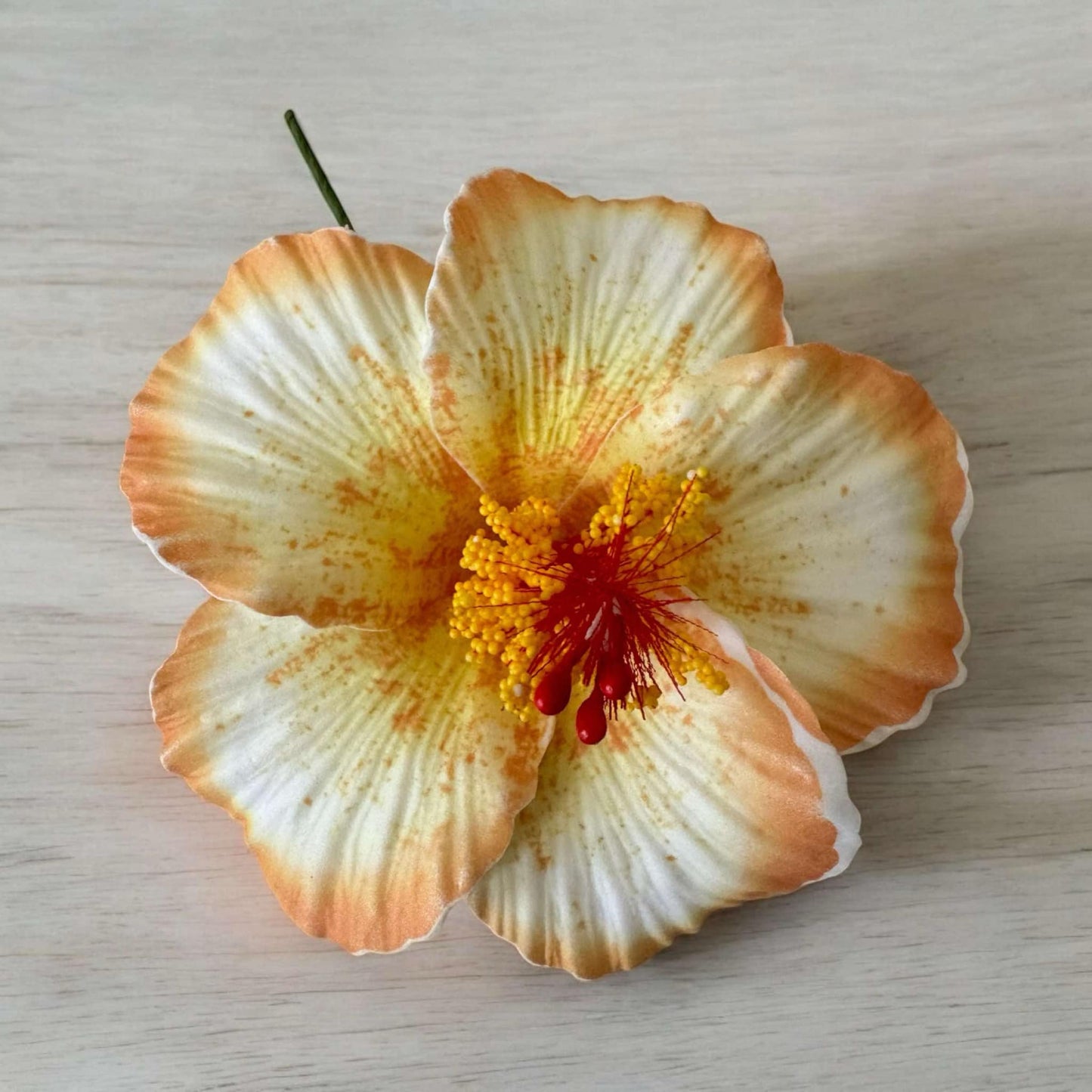 Hibiscus - MEDIUM Size FH302-1