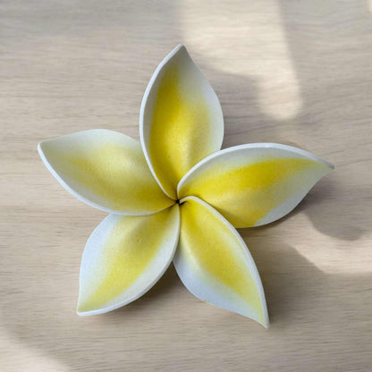Frangipani - LARGE Size FF501-1