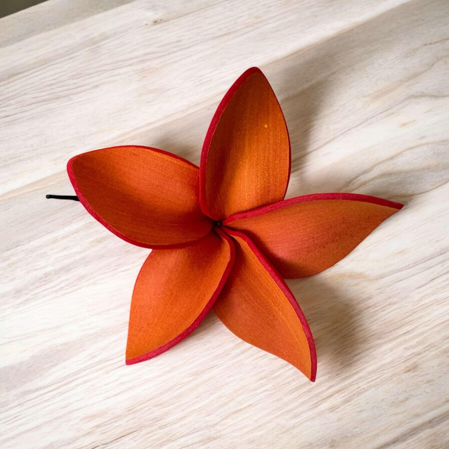 Frangipani - MEDIUM Size FF401-1