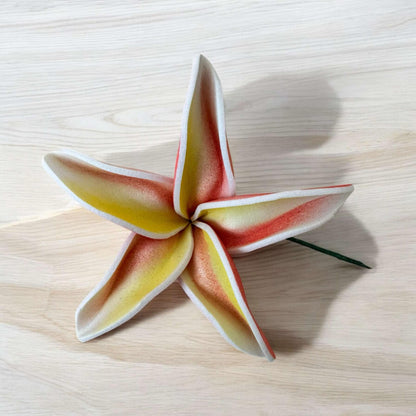 Frangipani - MEDIUM Size FF401-1