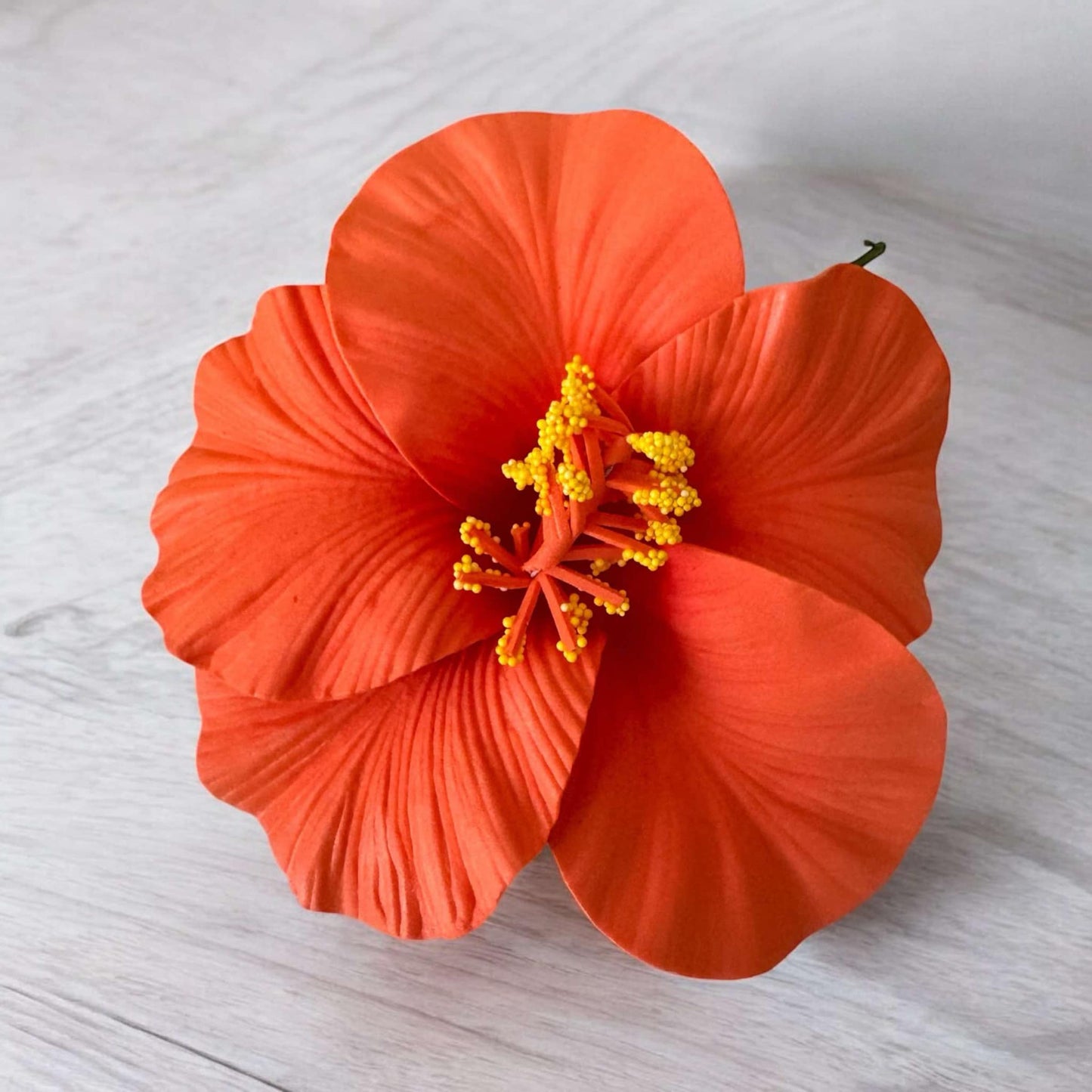 Hibiscus - LARGE Size FH103-3